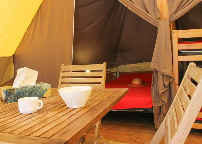 Camping Le Bois De Pins