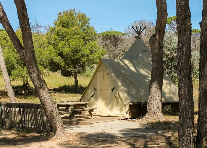 Camping Le Bois De Pins