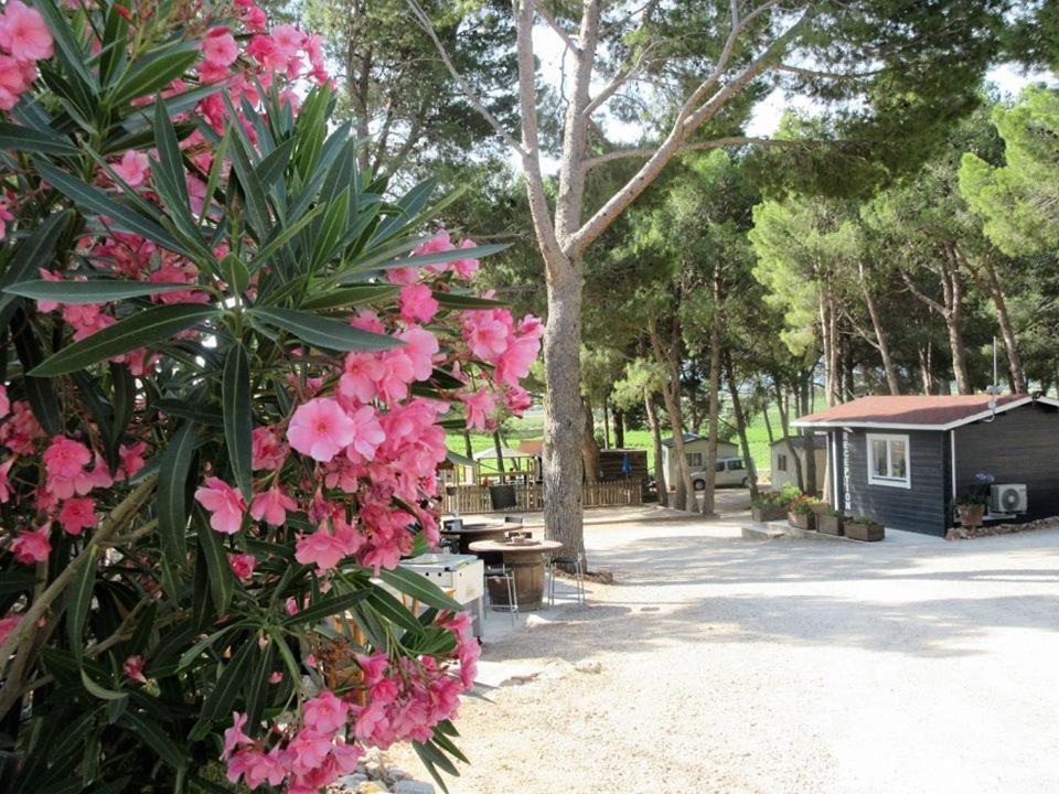 Campsite Le Bois De Pins