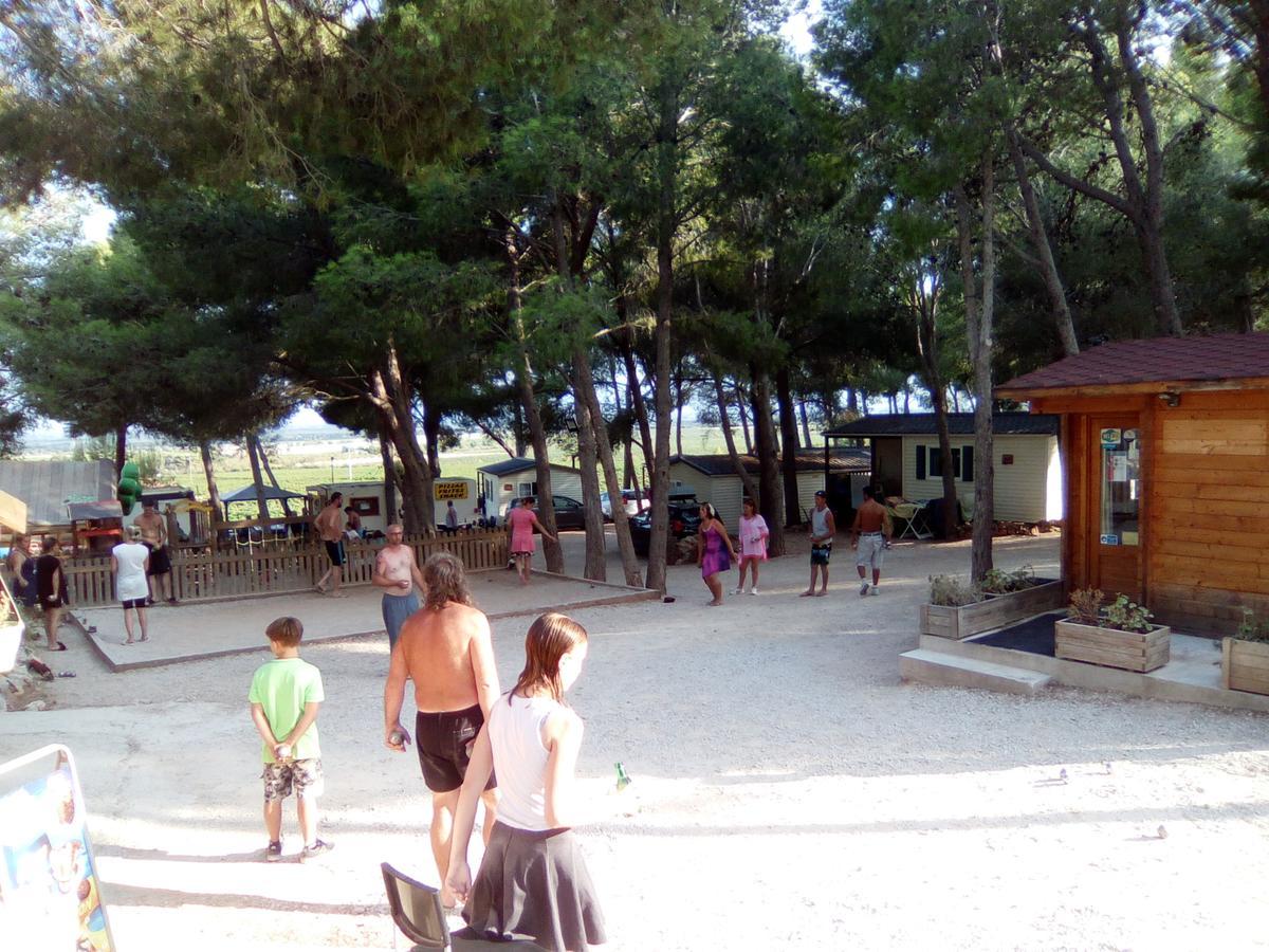 Le Bois De Pins Salses-le-Château